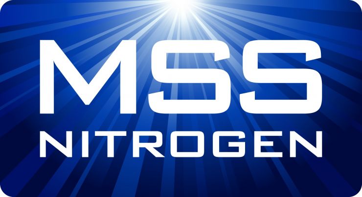 MSS-N2_logo-web.jpg